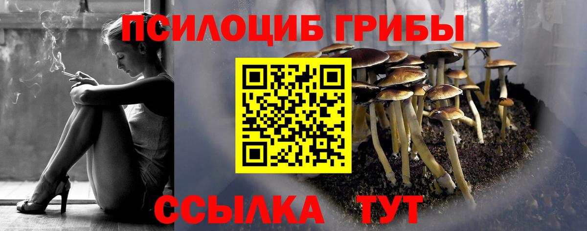 Улан-Удэ  купить наркотики сайты  Вход с VPN  Галлюциногенные грибы мухоморы  Псилоцибиновые грибы мухоморы 